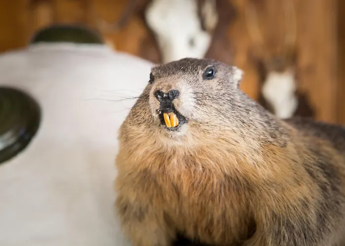 Karl Schranz ホテル