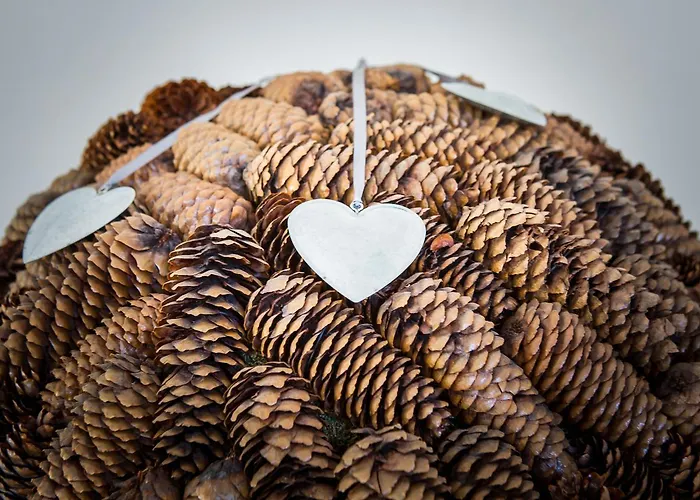 ホテル Karl Schranz 4*