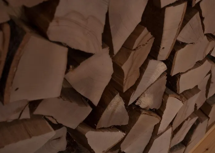 Karl Schranz ホテル 4*