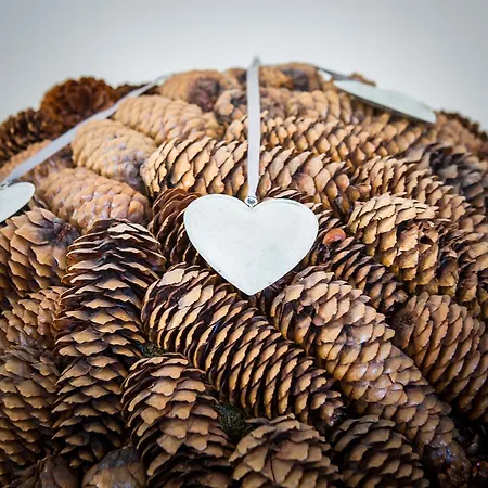 Hotel Karl Schranz 4*